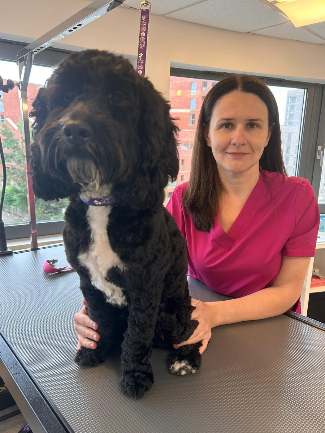 Ilona with a cockapoo on the grooming table at Woof Paradise