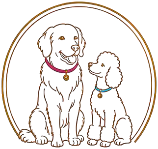 Woof Paradise, a retriever and a poodle in a gold ring